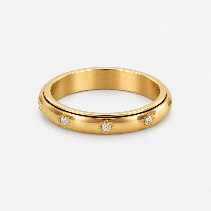 Stardust Fidget Ring