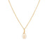 Shell Pendant Necklace - ISLA IDA™